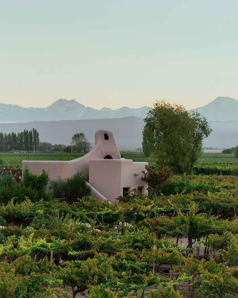 Awasi Mendoza - Image 1