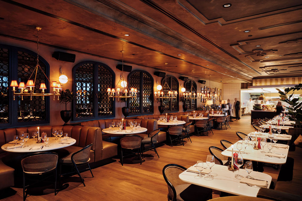 The Global Ambassador - View 3