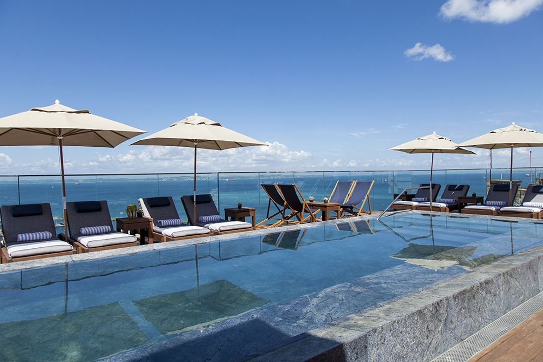 Fasano Salvador - Image 3