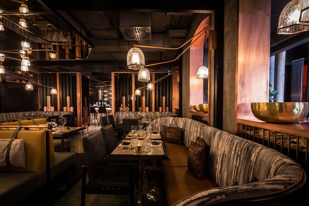 TORTUE HAMBURG - Image 5