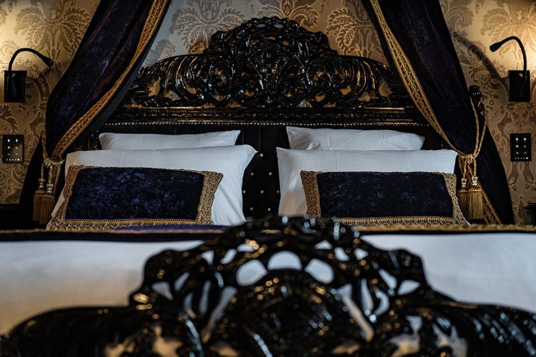 Château de Maubreuil - Image 4