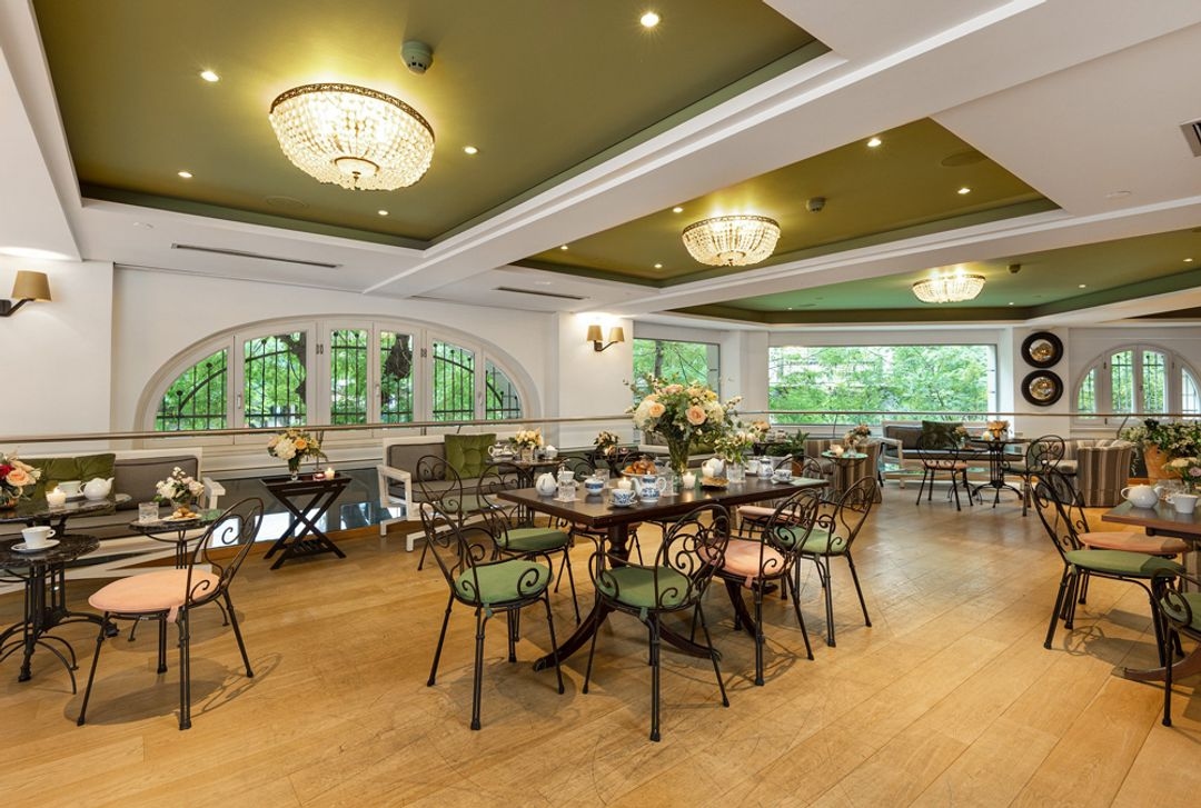 The Excelsior - View 5