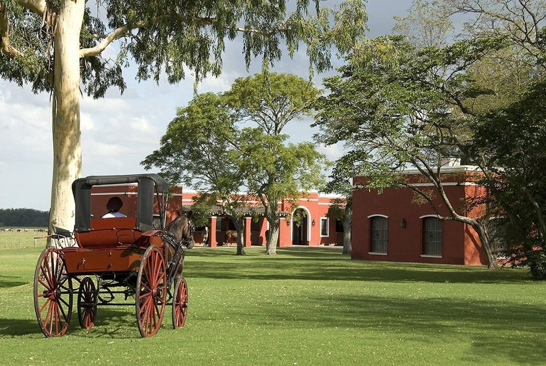 La Bamba de Areco - Image 1
