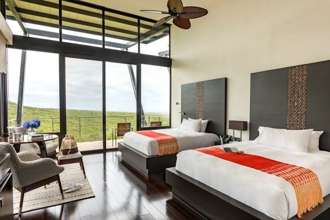 Pikaia Lodge - Image 4