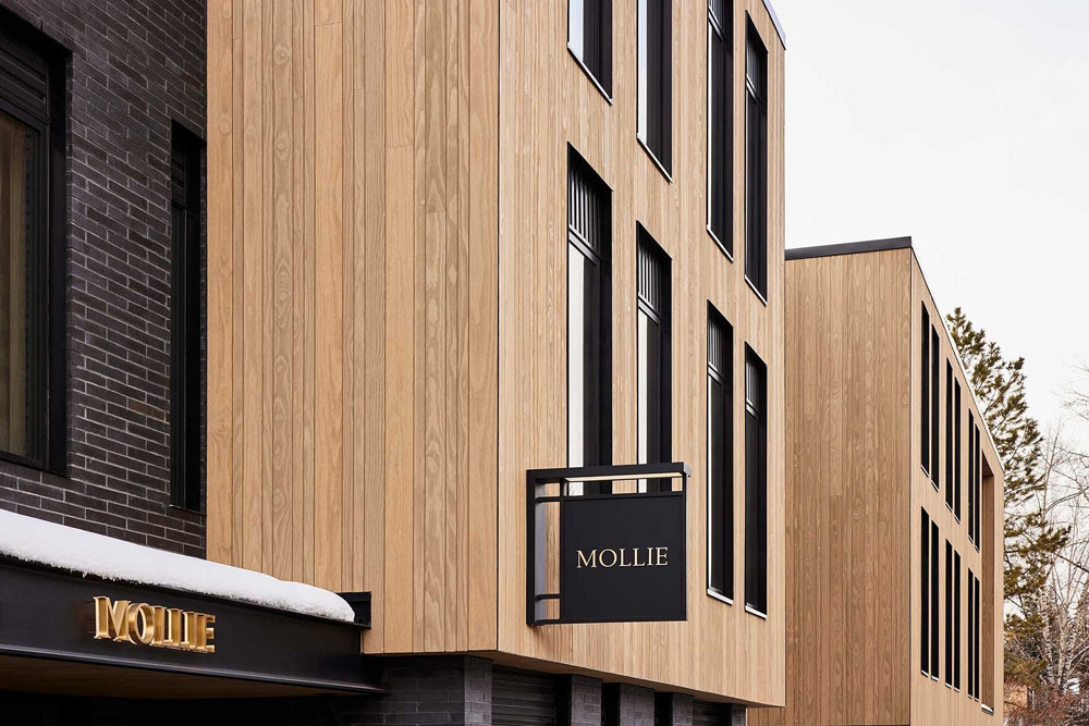 MOLLIE Aspen - Image 1